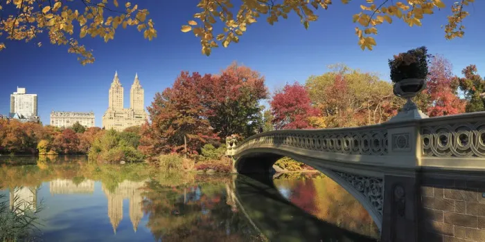 Framed Print : USA, New York City, Manhattan, Central Park, Bow Bridge Framed Print : USA, New York City, Manhattan, Central Park, Bow Bridge