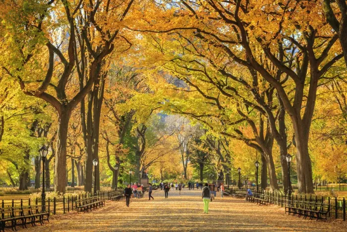 Framed Print : USA, New York City, Manhattan, Central Park, The Mall