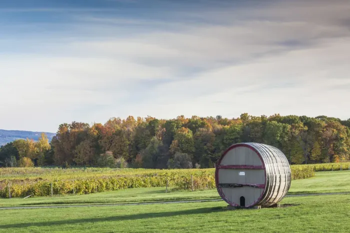 Framed Print : USA, New York, Finger Lakes Region, Dundee, vineyard, autumn Framed Print : USA, New York, Finger Lakes Region, Dundee, vineyard, autumn