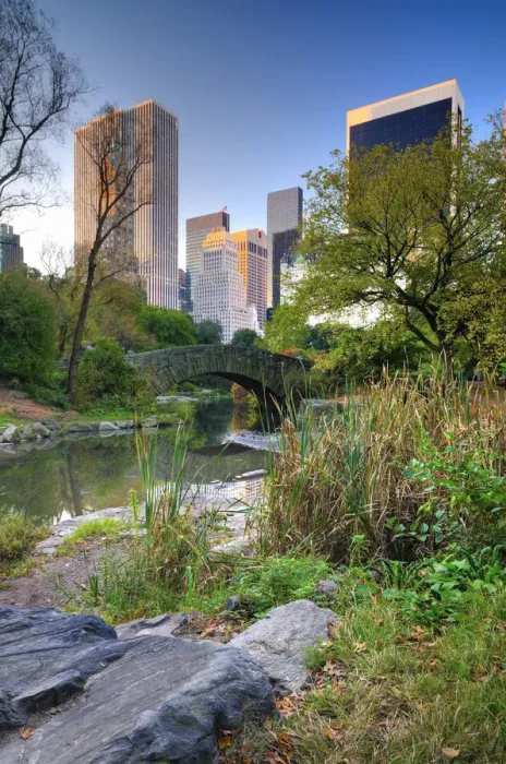 Framed Print : USA, New York, Manhattan, Central Park, The Pond Framed Print : USA, New York, Manhattan, Central Park, The Pond