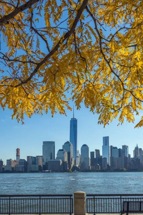 Framed Print : USA, New York, Manhattan, Lower Manhattan and World Trade Center, Freedom Tower, viewed Framed Print : USA, New York, Manhattan, Lower Manhattan and World Trade Center, Freedom Tower, viewed