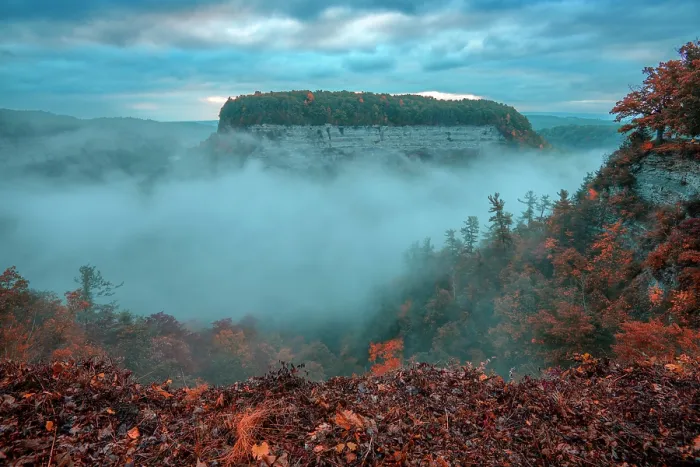 Framed Print : USA, New York, Upstate, Livingston and Wyoming Counties, Letchworth State Park, fog Framed Print : USA, New York, Upstate, Livingston and Wyoming Counties, Letchworth State Park, fog