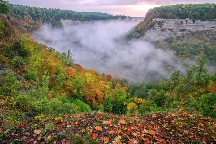 Framed Print : USA, New York, Upstate, Livingston and Wyoming Counties, Letchworth State Park, sunrise Framed Print : USA, New York, Upstate, Livingston and Wyoming Counties, Letchworth State Park, sunrise
