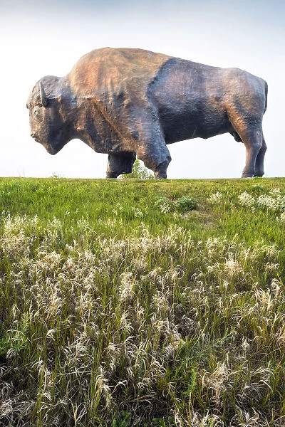 USA, North Dakota, Jamestown, Worlds Largest Buffalo Monument