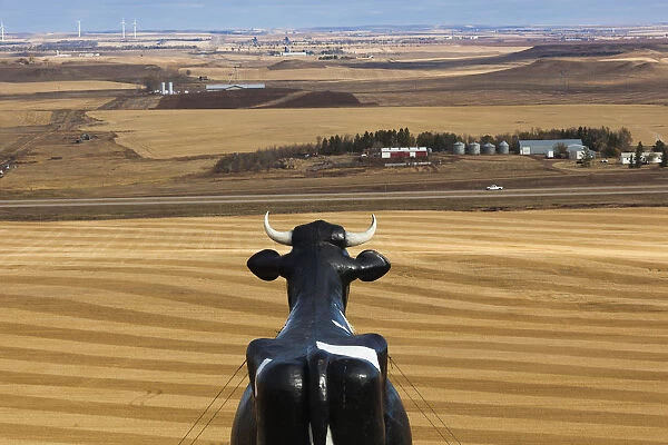 USA, North Dakota, New Salem, Salem Sue, Worlds Largest Holstein Cow