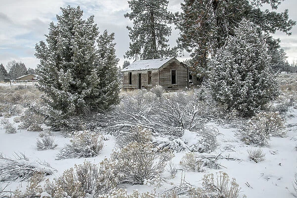 USA, Oregon, Bend, old cook house in the winter