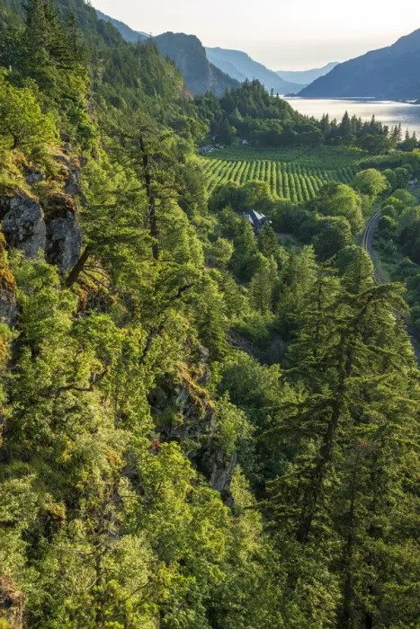 Framed Print : USA, Oregon, Columbia River Gorge, Hood River, Ruthton County Park
