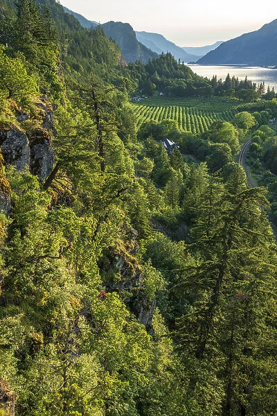 USA, Oregon, Columbia River Gorge, Hood River, Ruthton County Park