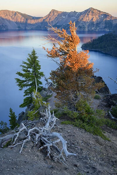 USA, Oregon, Crater Lake National Park