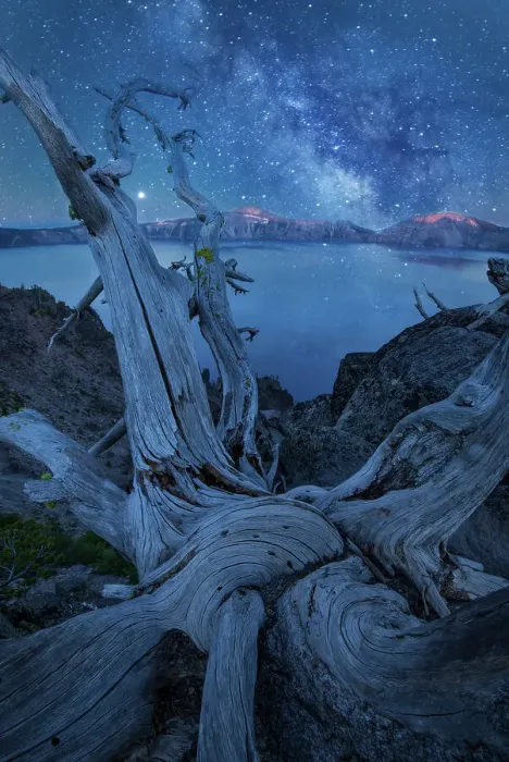 Framed Print : USA, Oregon, Crater Lake National Park, Milky Way and tree snag (m) Framed Print : USA, Oregon, Crater Lake National Park, Milky Way and tree snag (m)