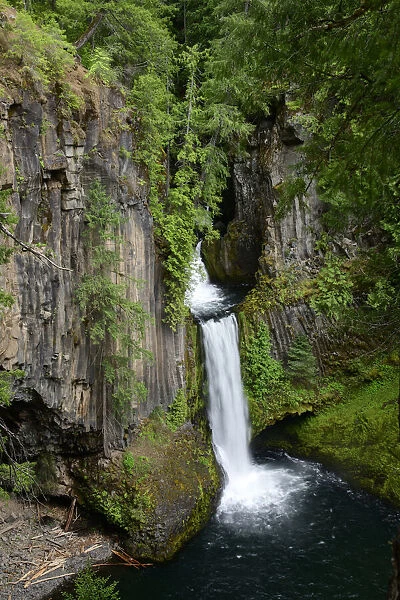 USA, Oregon, Douglas County, North Umpqua River, Toketee Falls