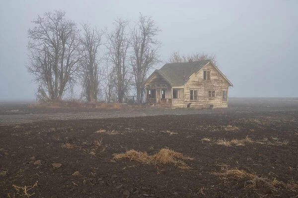 USA, Oregon, Malheur County, Ontario, abandoned homestead