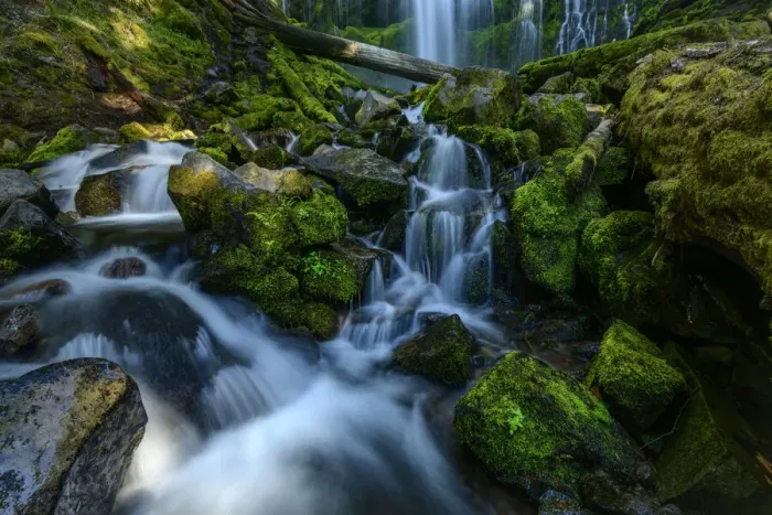 Framed Print : USA, Oregon, Oregon, Willamette National Forest, Proxy Falls Framed Print : USA, Oregon, Oregon, Willamette National Forest, Proxy Falls