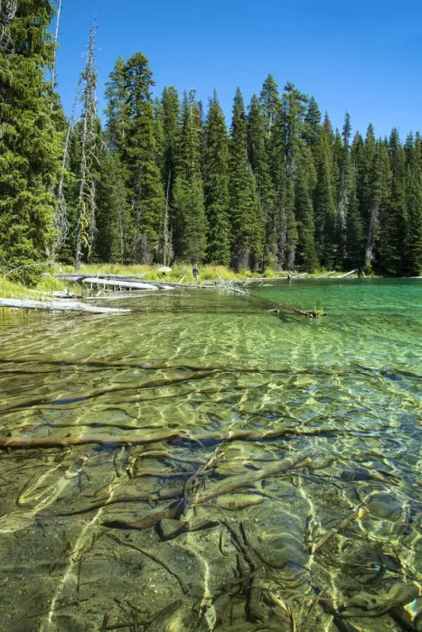 Framed Print : USA, Pacific Northwest, Oregon, Deschutes County, Deschutes National Forest, Blue Lagoon