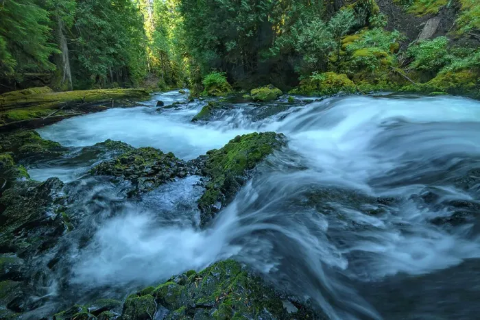 Framed Print : USA, Pacific Northwest, Oregon, Willamette National Forest, Sahalie Falls, McKenzie river, Cascades Framed Print : USA, Pacific Northwest, Oregon, Willamette National Forest, Sahalie Falls, McKenzie river, Cascades