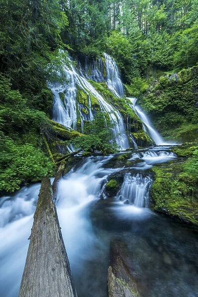 USA; Pacific Northwest; Skamania County, Washington State, Panther Creek Falls