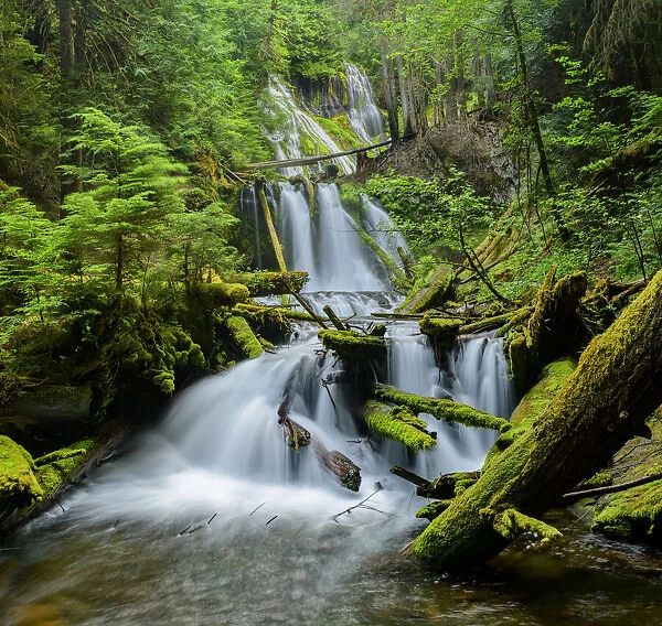 USA; Pacific Northwest; Skamania County, Washington State, Panther Creek Falls