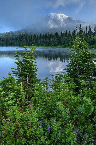USA; Pacific Northwest; Washington State, Mount Rainier National Park