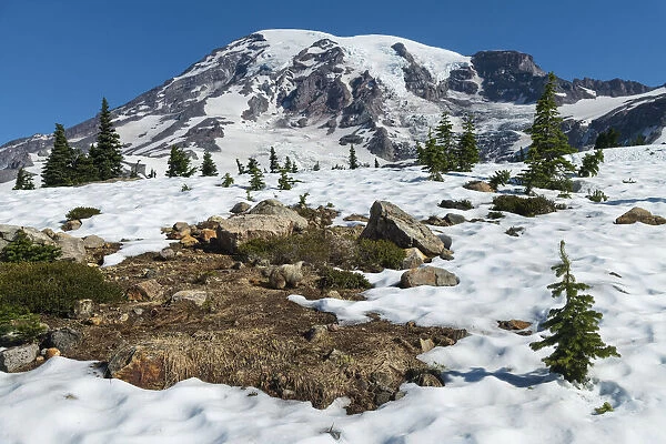 USA; Pacific Northwest; Washington State, Mount Rainier National Park