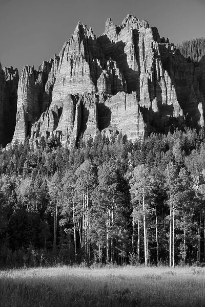 USA, Rocky Mountains, Colorado, Uncompahgre National Forest, Owl Creek Pass