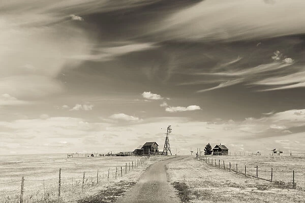 USA, South Dakota, Stamford, 1880 Town, pioneer village, farm