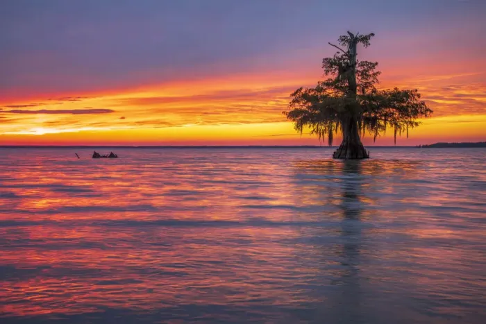 Framed Print : USA, South, Louisiana, Lafayette, Lake Faussee