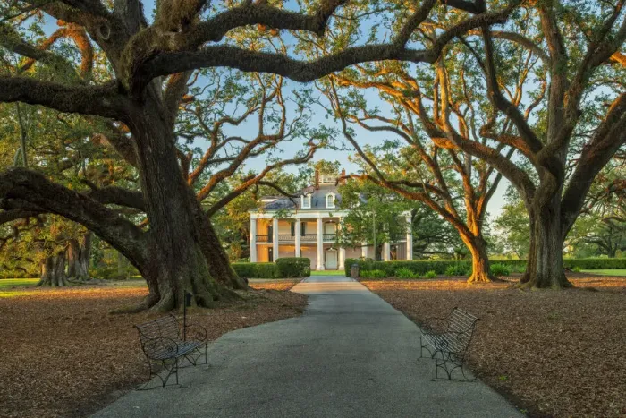 Framed Print : USA, South, Louisiana, Vacherie, Oak Alley Plantation Framed Print : USA, South, Louisiana, Vacherie, Oak Alley Plantation