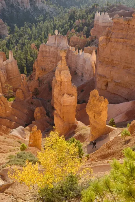 Framed Print : USA, Southwest, Colorado Plateau, Utah, Bryce Canyon, National Park, UNESCO World Framed Print : USA, Southwest, Colorado Plateau, Utah, Bryce Canyon, National Park, UNESCO World