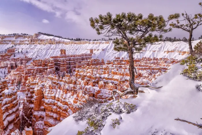 Framed Print : USA, Southwest, Colorado Plateau, Utah, Bryce Canyon, National Park Framed Print : USA, Southwest, Colorado Plateau, Utah, Bryce Canyon, National Park