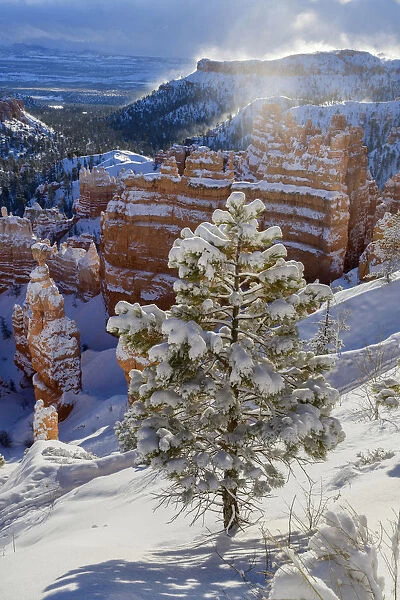 USA, Southwest, Colorado Plateau, Utah, Bryce Canyon, National Park in winter
