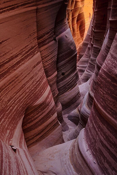 USA, Southwest, Colorado Plateau, Utah, Garfield County, Grand Staircase - Escalante National Monument, Hole in the rock road, Zebra slot canyon