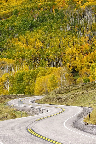 USA, Southwest, Colorado Plateau, Utah, Boulder, Dixie National forest in autumn near