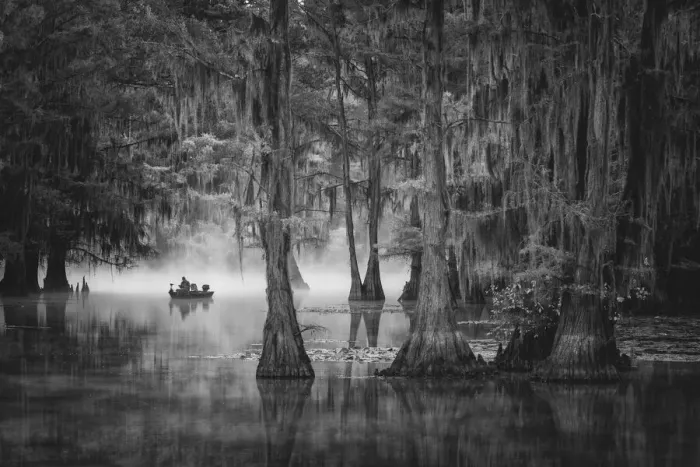 Framed Print : USA, Texas, Caddo lake dawn Framed Print : USA, Texas, Caddo lake dawn