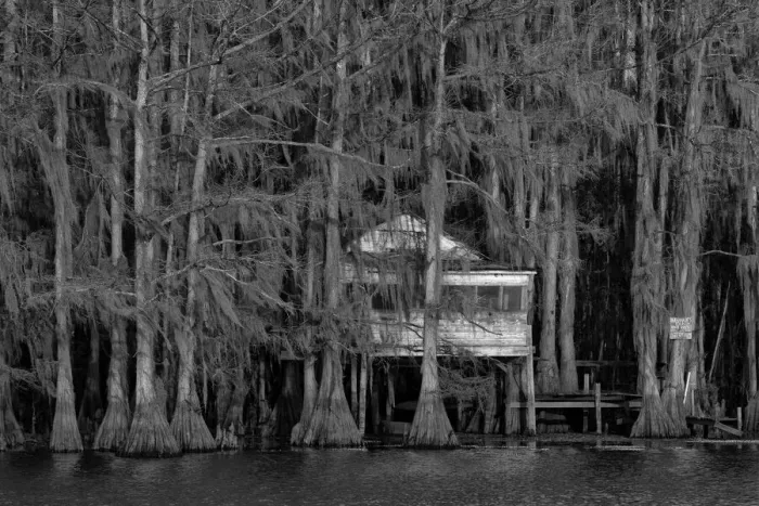 Framed Print : USA, Texas, Caddo lake, swamp hut
