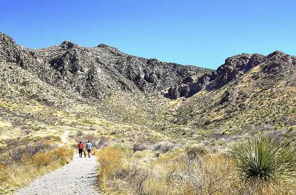 USA, Texas, El Paso, Franklin Mountains State Park, Aztec Caves Trail, Chihuahuan Desert