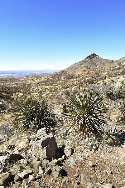 USA, Texas, El Paso, Franklin Mountains State Park, Aztec Caves Trail, Chihuahuan Desert, Rio Grande Valley