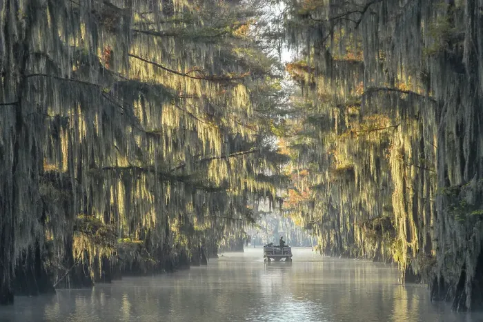 Framed Print : USA, Texas, Uncertain, Caddo Lake, Government Ditch Framed Print : USA, Texas, Uncertain, Caddo Lake, Government Ditch