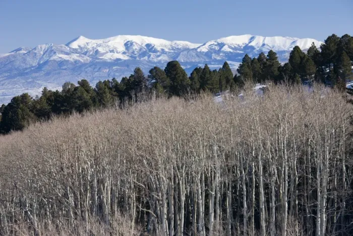 Framed Print : USA, Utah, Boulder, View towards Capitol Reef National Park from Rt. 12, winter