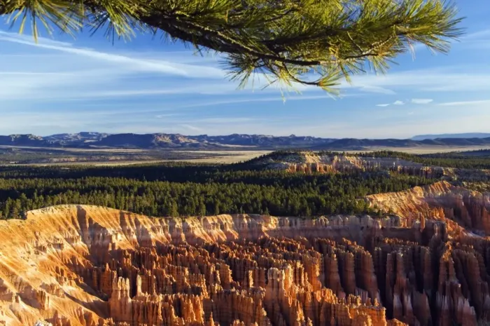 Framed Print : USA, Utah, Bryce Canyon National Park Framed Print : USA, Utah, Bryce Canyon National Park