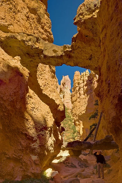 USA, Utah, Bryce Canyon National Park, Navajo Loop Trail