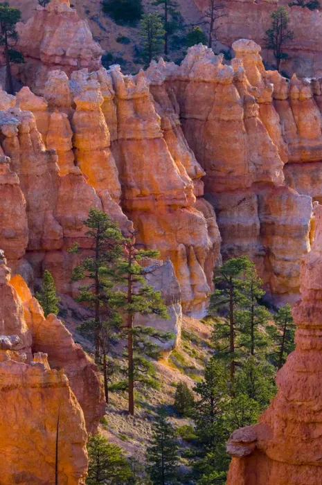 Framed Print : USA, Utah, Bryce Canyon National Park, near Sunset Point Framed Print : USA, Utah, Bryce Canyon National Park, near Sunset Point