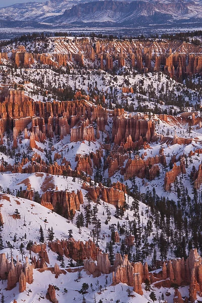 USA, Utah, Bryce Canyon National Park, Bryce Amphitheater from Bryce Point dawn, winter