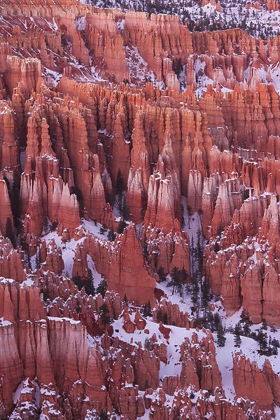 USA, Utah, Bryce Canyon National Park, Bryce Amphitheater from Inspiration Point, dusk