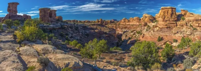 Framed Print : USA, Utah, Canyonlands National Park, The Needles District, Big Spring Canyon Overlook Framed Print : USA, Utah, Canyonlands National Park, The Needles District, Big Spring Canyon Overlook