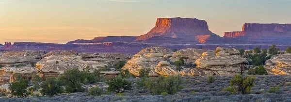USA, Utah, Canyonlands National Park, The Needles District, Junction Butte