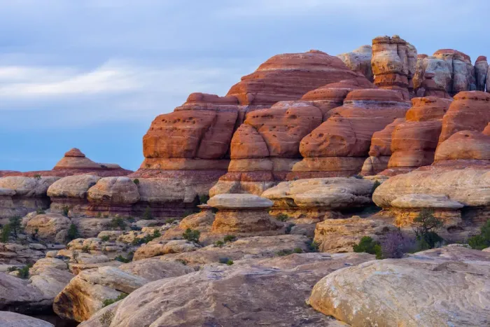 Framed Print : USA, Utah, Canyonlands National Park, The Needles District, Chesler Park Trail Framed Print : USA, Utah, Canyonlands National Park, The Needles District, Chesler Park Trail