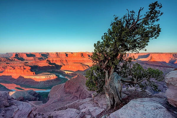 USA, Utah, Elevated view of the Colorad river at Dead Horse Point