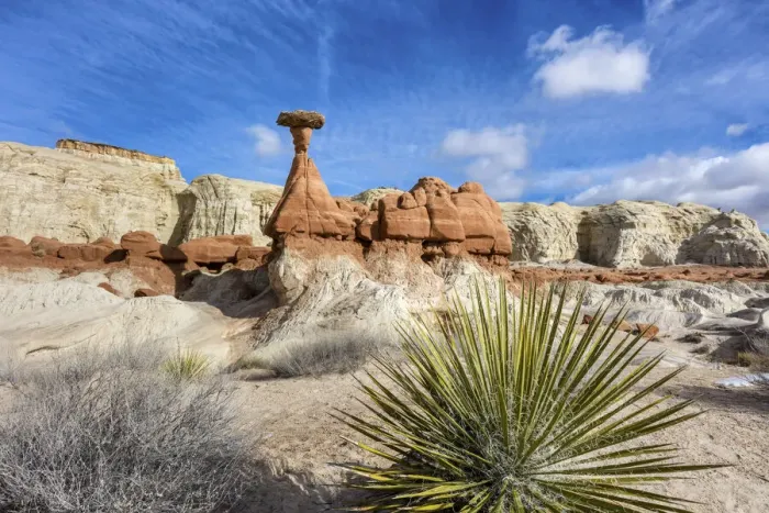 Framed Print : USA, Utah, Grand Staircaise-Escalante National Monument, Toadstool Hoodoos Framed Print : USA, Utah, Grand Staircaise-Escalante National Monument, Toadstool Hoodoos
