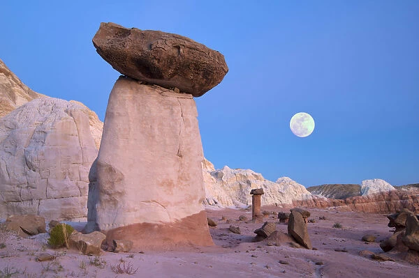 USA, Utah, Grand Staircase Escalante, National Monument, Toadstools, hoodos with full