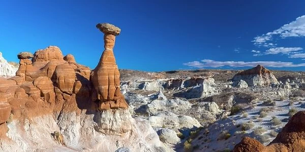 USA, Utah, Grand Staircase Escalante National Monument, The Toadstools